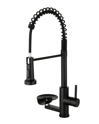 Kitchen Sink Faucet with Single-Handle Control