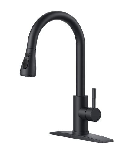 Stainless Steel Kitchen Faucet with Pull-Down Sprayer