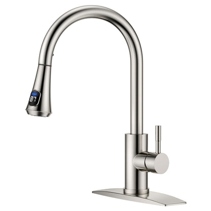 Stainless Steel Kitchen Faucet with Pull-Down Sprayer