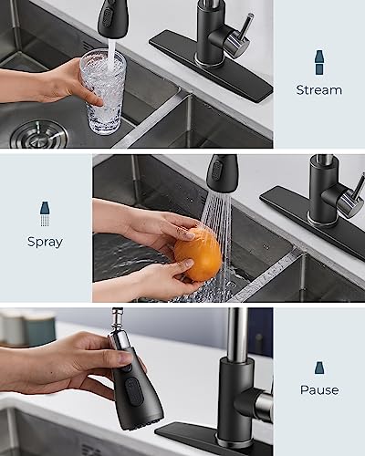 Stainless Steel Kitchen Faucet with Pull-Down Sprayer