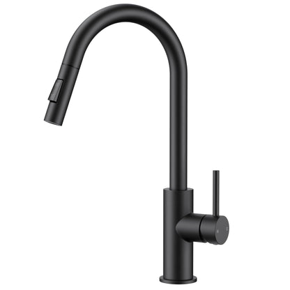 High-Arc Kitchen Faucet with Pull-Down Sprayer