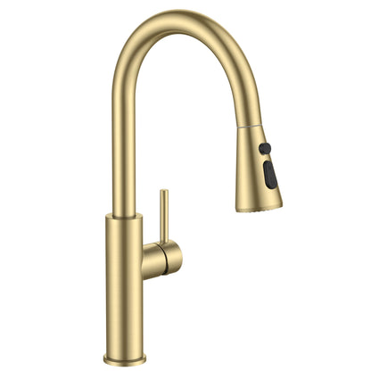 Stainless Steel Kitchen Faucet with Pull-Down Sprayer