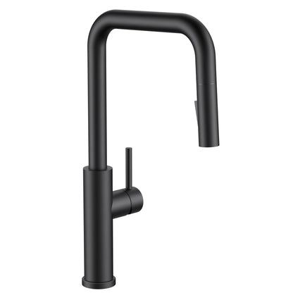 High-Arc Kitchen Faucet with Pull-Down Sprayer