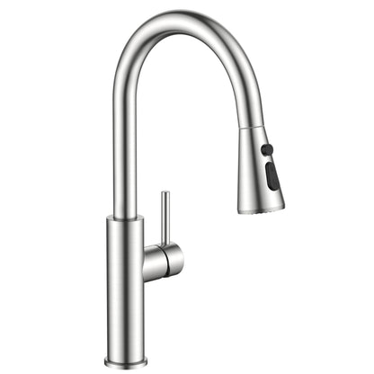 Stainless Steel Kitchen Faucet with Pull-Down Sprayer