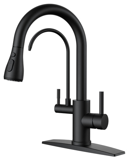 Stainless Steel Kitchen Faucet with Pull-Down Sprayer