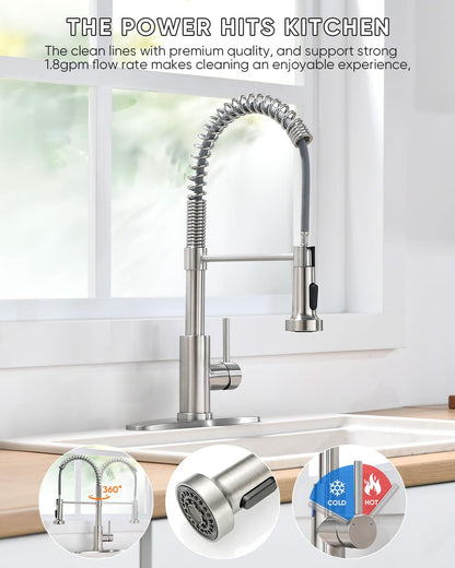 Kitchen Sink Faucet with Single-Handle Control