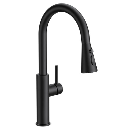 Stainless Steel Kitchen Faucet with Pull-Down Sprayer