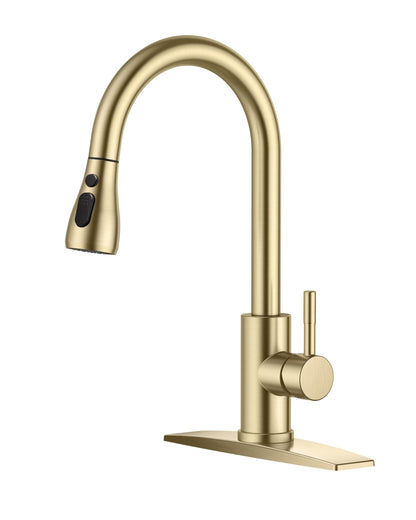 Stainless Steel Kitchen Faucet with Pull-Down Sprayer
