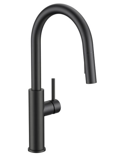 High-Arc Kitchen Faucet with Pull-Down Sprayer