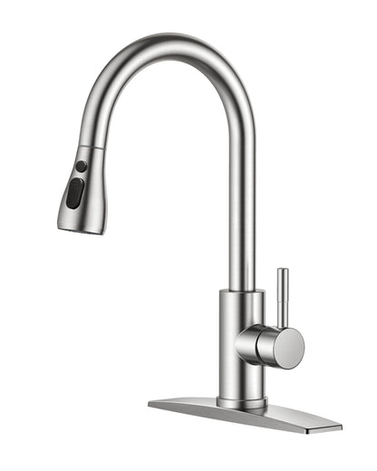 Stainless Steel Kitchen Faucet with Pull-Down Sprayer