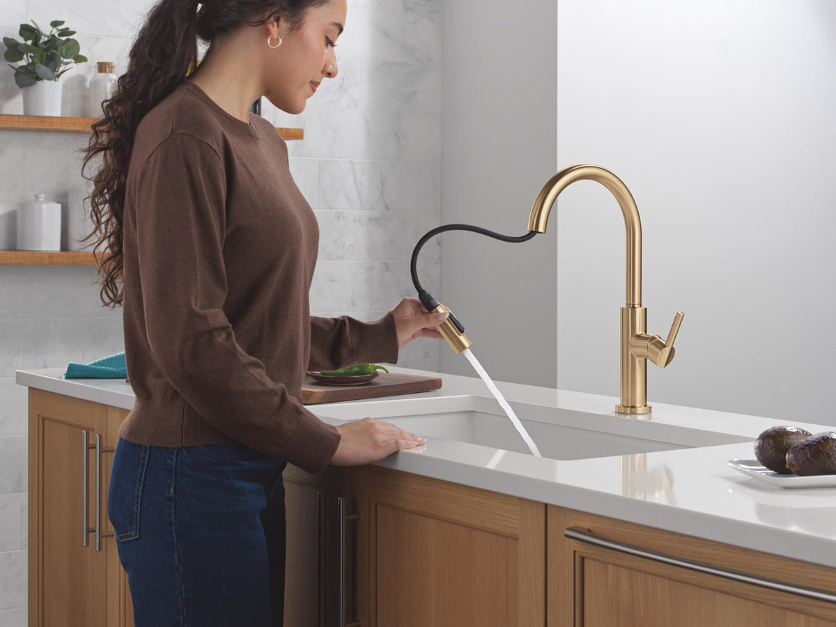 Modern Kitchen Faucet with Pull-Down Sprayer