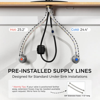 High-Arc Kitchen Faucet with Pull-Down Sprayer
