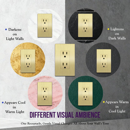 15A Decorator Outlet with Screwless Wall Plate