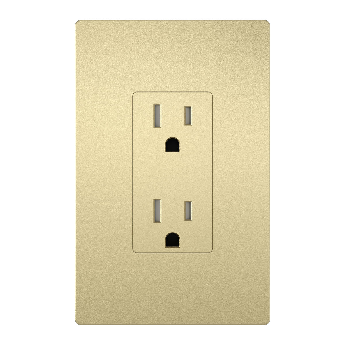 Electrical Receptacle – 15A & 20A Wall Outlet